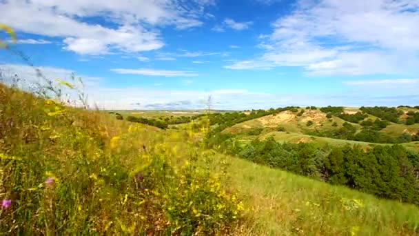 Badlands Ulusal Park Amerika Birleşik Devletleri — Stok video