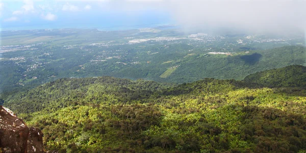 Puertoricanska regnskog — Stockfoto