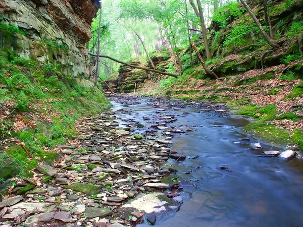 Pewits hnízdo - wisconsin dells — Stock fotografie