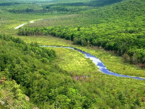 Porcospino montagne State Park — Foto Stock