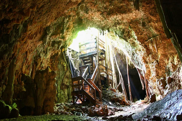 Cueva Del Viento - Puerto Rico — Stock Photo, Image