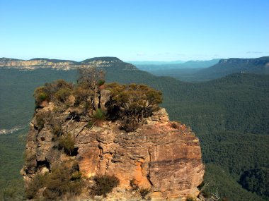 Blue Mountains Avustralya manzara