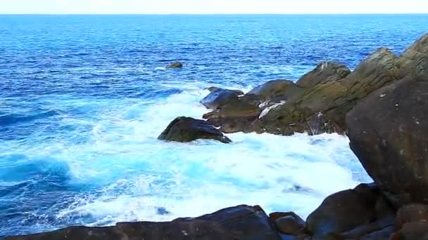 Parque Nacional Shark Bay Tortola — Vídeo de Stock