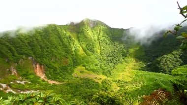 Saint Kitts Rainforest krater