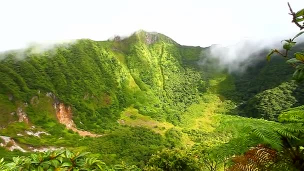 Saint Kitts Rainforest krater — Stockvideo