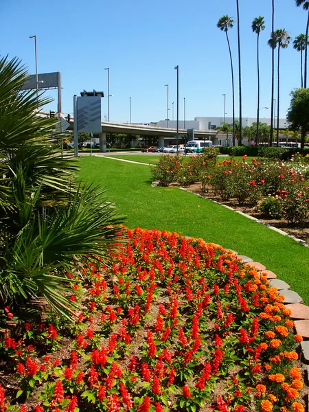 Los Angeles Airport Garden — Stockfoto