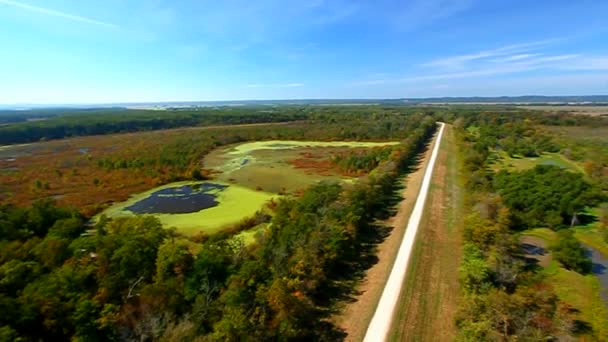 Шоні National Forest Іллінойс — стокове відео