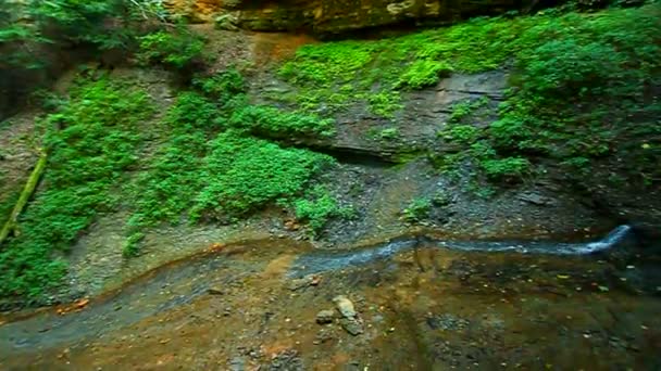 Shades State Park Silver Cascade Falls — Stock Video