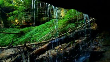 Tonları Devlet Park baldırıkara otu Falls