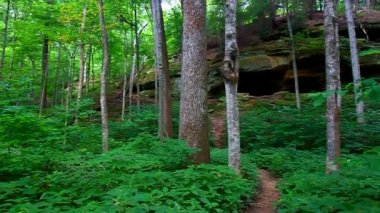 Türkiye'de çalışma State Park Indiana