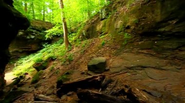 Türkiye'de çalışma devlet Park peyzaj