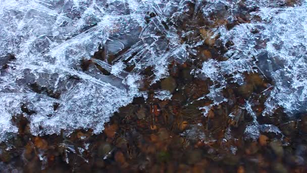 薄的冰流动的水 — 图库视频影像