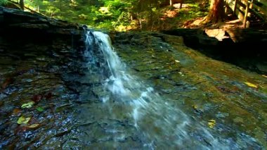 Tonları Devlet Park gümüş Cascade Falls