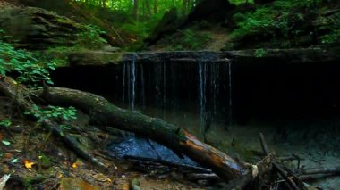 Baldırıkara otu Falls tonları State Park Indiana