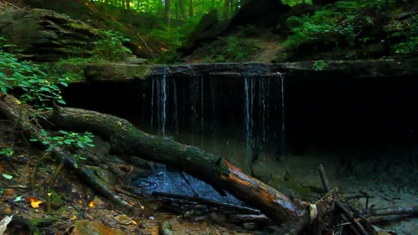 Πολύτριχο Falls αποχρώσεις κρατικό πάρκο Ιντιάνα — Αρχείο Βίντεο