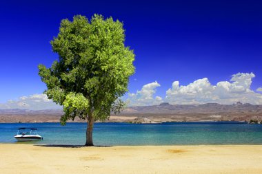 Göl Mohave Beach Nevada