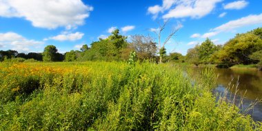 Midwest Prairie nehir manzara