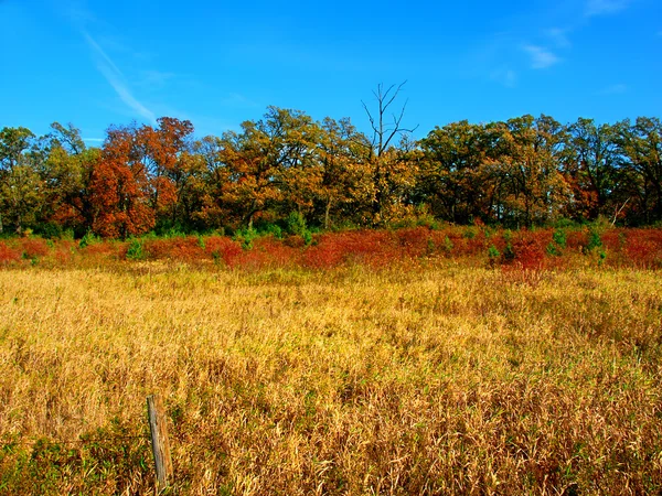 Landsbygdens Wisconsin landskap — Stockfoto