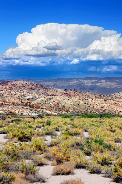 Tempesta nel deserto del Nevada — Foto Stock