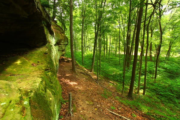 Turkije Run State Park (Indiana) — Stockfoto