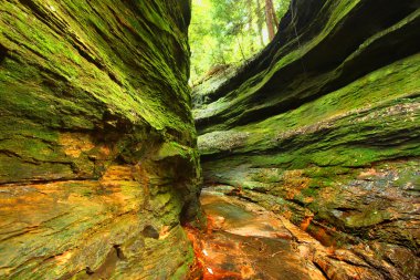 Türkiye'de çalışma State Park Indiana