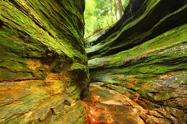 Truthahn run state park indiana — Stockfoto