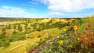 kır çiçekleri badlands Ulusal Parkı