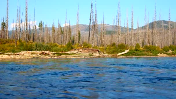 Flathead nehir manzara Montana — Stok video