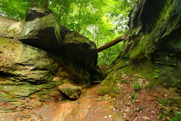 Turecko Run státní Park krajina — Stock fotografie