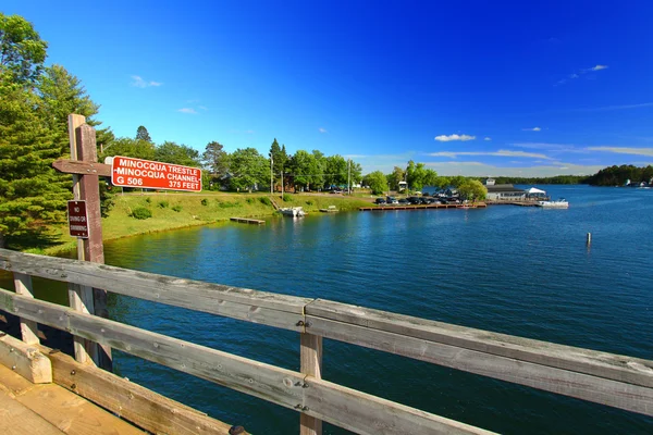 Pele de urso Estado Trilha Minocqua Wisconsin — Fotografia de Stock