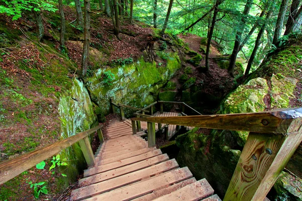 Turecko Run státní Park Indiana — Stock fotografie