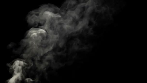 Plume de fumée 