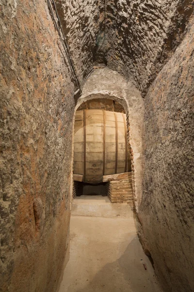 Vieux tonneau dans la cave — Photo