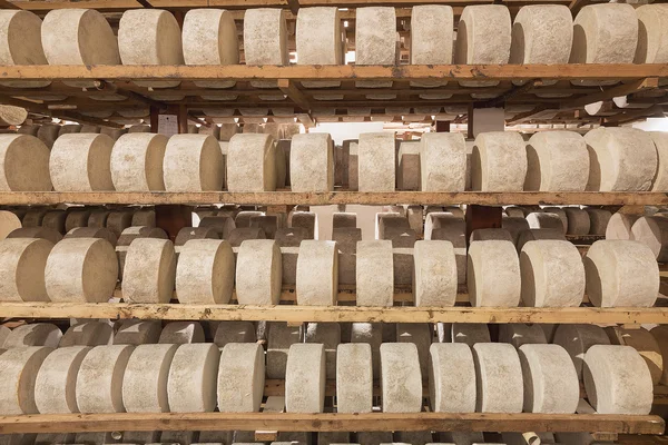 Ряды брожения сыра — стоковое фото