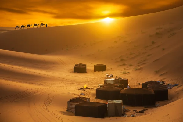 Dunas de arena al atardecer —  Fotos de Stock