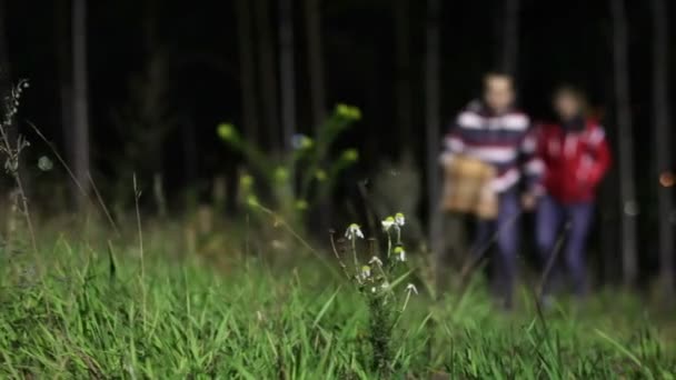 Paar wandelen in het bos — Stockvideo