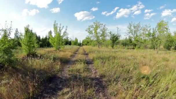 Ciclistas corriendo en motos — Vídeo de stock