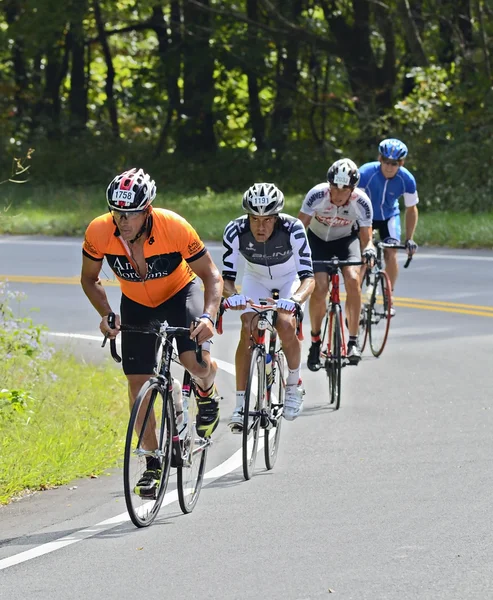 Bicycle Riders on a Mountain Road — Stock Photo, Image