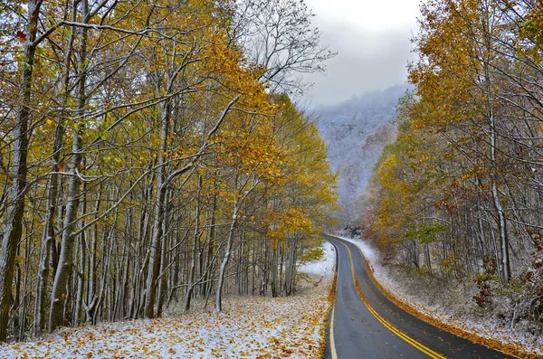 Outono e inverno — Fotografia de Stock