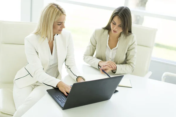 Young women in the office — Stock Photo, Image
