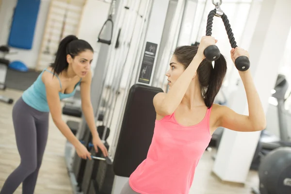 Entrenamiento de mujeres en el gimnasio — Foto de Stock