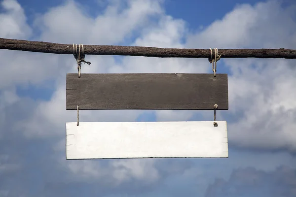 Empty signs on branch — Stock Photo, Image