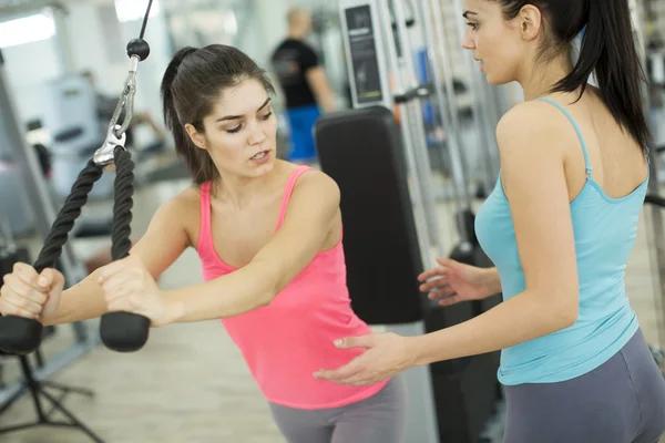 Young women training in the gym — Stock Photo, Image
