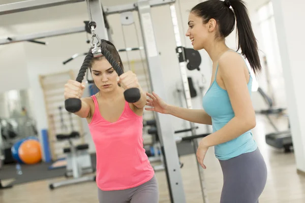 Jeunes femmes s'entraînant dans la salle de gym — Photo