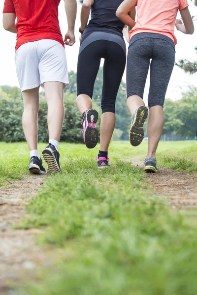 Folk som springer i parken — Stockfoto