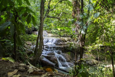 Erawan şelaleler Tayland