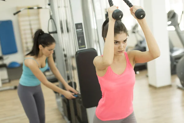 Unga kvinnor träning i gymmet — Stockfoto