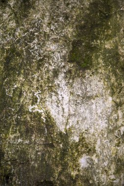 Taş dokusu arkaplanı