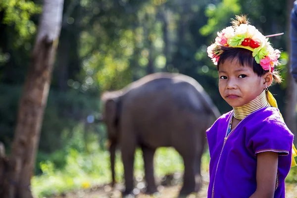 Chiang Mai, Thailandia — Foto Stock