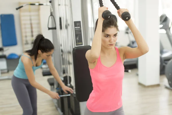 Young women in the gym — Stock Photo, Image
